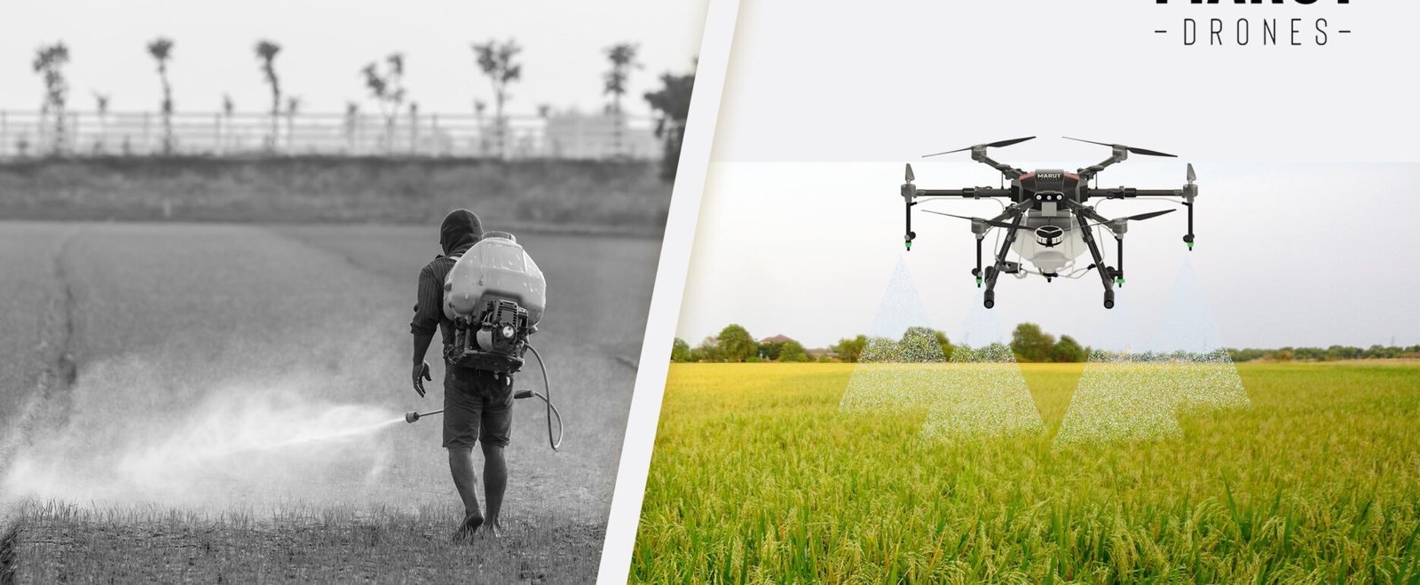 Pesticide Spraying Drone